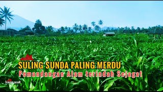 SULING SUNDA PALING MERDU DENGAN PEMANDANGAN ALAM TERINDAH Cocok Buat Santai [upl. by Cynthia]