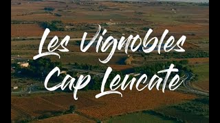 Les Vignobles Cap Leucate 🍷 [upl. by Watters]