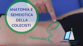 COLECISTI  SEMEIOTICA E ANATOMIA PALPATORIA [upl. by Milman]