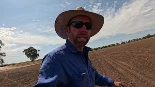 The start of canola windrowing for 2024 [upl. by Notslah831]