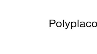 How to pronounce Polyplacophora [upl. by Marlie]