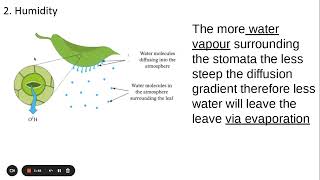 313 Transport in Plants cTranspiration factors that affect transpiration rate and practicals [upl. by Hayse]