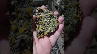 Wulfenite my beloved geology cool minerals rocks science mexico [upl. by Kevin]