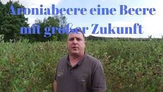 Aroniabeere eine Beere mit grosser Zukunft [upl. by Southworth]