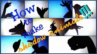 Shadowgraphy How to make Shadow animals  Learn to make 9 different animals fast [upl. by Karim]