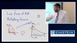 Introducing MRI Transverse Magnetization Relaxation 10 of 56 [upl. by Yssep839]