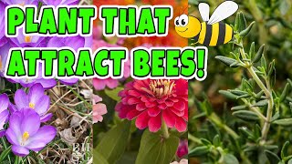 18 Plants that Attract Bees to your gardens Save the Bees [upl. by Noguchi]