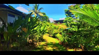 Spectacular Turquoise River Fenced Property w 4 Rustic Cabins 10 min to La Fortuna Costa Rica [upl. by Haroun]