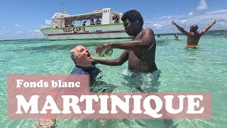 MARTINIQUE ➡️ Lagon et Fonds blanc 👍 Îlet Chevalier avec Taxi Cap [upl. by Oivlis]