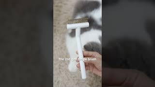 These 4 aumuca Brushes Are You Using Them Correctly on Your Cat aumuca catbrush aumucacatbrush [upl. by Ronni]