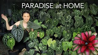 RESORT GARDEN 🌴 at HOME  DIY TROPICAL COSY BACKYARD with 8 EASY Garden Design Tips [upl. by Anitaf]