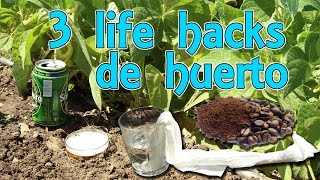 3 Life Hacks de campo  Trucos para el huerto Experimentos Caseros [upl. by Yeoz376]