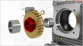 Worm gearbox Worm gear box Worm geared motor [upl. by Delcine]