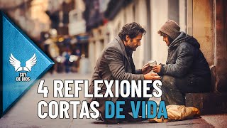 4 Hermosas Reflexiones Cortas de la Vida  Enseñanzas de Fe y Versiculos de la Biblia Soy De Dios [upl. by Grunberg]