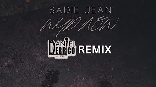 Sadie Jean “WYD Now” Daniel Derrico Remix [upl. by Aicelaf173]