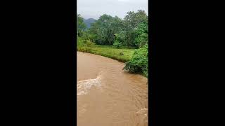 Conséquences des pluies torrentielles au Costa Rica [upl. by Briscoe]