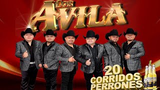 Los Avila 2024 Puros Corridos Fregones PaPistear🔥💣🍺🎷Lo Mejor De Los Avila [upl. by Uah]