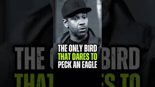 The Only Bird That Dares to Peck an Eagle is the Crow denzelwashington motivation successquotess [upl. by Lazaro]