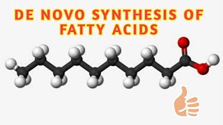 fatty acid synthesis de novo synthesis of fatty acids palmitate synthesis [upl. by Yelhak]