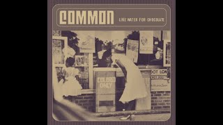 Common  The Light Slowed Down [upl. by Luing976]