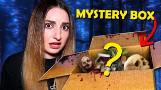 OTEVÍRÁM STRAŠIDELNÝ MYSTERY BOX [upl. by Ahsenrad]