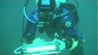 How Much Does Coral Glow João Monteiro uses a PAM Fluorometer for Reef Research [upl. by Leiram936]