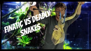 Fisherman handles deadly snakes finatic [upl. by Ocimad]