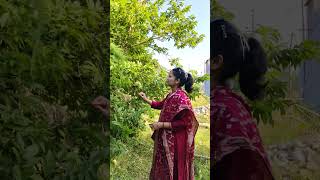 village gavarfamily familyvlog dashainspecial cute traditional trending [upl. by Ilek]