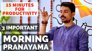 15 MINUTES PRANAMAYA  MORNING PURIFICATION PRANAYAMA  PRANAYAMA FOR BEGINNERS [upl. by Htennek]