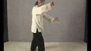 Part 29 Learn Tai Chi Free Long Form Erle Montaigue [upl. by Scarlett]