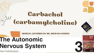 Carbachol carbamylcholine  Cholinergic agonist  Lippincott Pharmacology  Katzung [upl. by Ayeka655]