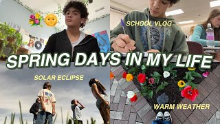 SPRING DAYS IN MY LIFE  solar eclipse school vlog  warm weather [upl. by Sherline]