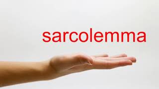 How to Pronounce sarcolemma  American English [upl. by Notkcorb779]