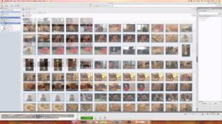 Tutorial How to Get Your Photos Out of Picasa [upl. by Vernier]