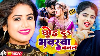 Bhojpuri Nonstop भोजपुरी हिट गाने  VIDEOSONG2024  Bhojpuri Song टॉप10 HDGana 2024 [upl. by Cailly]