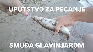 UPUTSTVO ZA PECANJE SMUĐA GLAVINJAROM 🎣 [upl. by Safko]