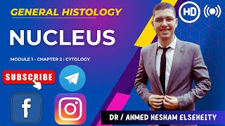 Nucleus  Cytology quotThe cellquot  General Histology فرقة اولى [upl. by Oirasec]