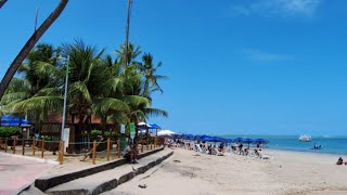 Ôxi É Maceió está ao vivo 6 set 2024 [upl. by Sharron]