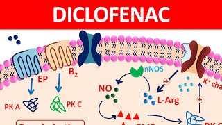 Diclofenac Tablets amp gel  New mechanism precautions amp side effects [upl. by Barney]