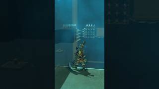 Shrine Shortcut The Legend of Zelda Breath of the Wild [upl. by Roxy]