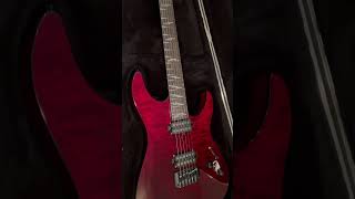 Schecter Reaper 6 Elite Blood Burst SN W22110966 [upl. by Rusert980]