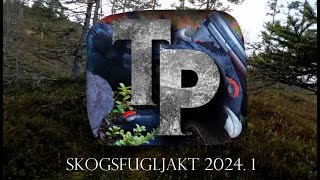 skogsfugljakt 2024  1 [upl. by Fawne]