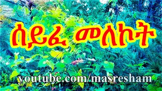 ሰይፈ መለኮት  Seife Melekot [upl. by Ezitram]