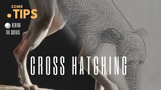 Cross Hatching  art tutorial [upl. by Nilya]