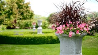 Planting My Backyard Urns [upl. by Banerjee]