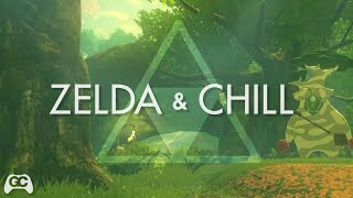 Zelda amp Chill  Minuet of Forest Mikel Lofi Remix [upl. by Alvie410]