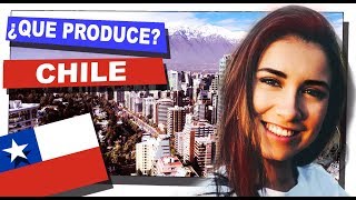 ✅ 5 ¿qué produce tu país CHILE  ECONOMIA DE CHILE  2018 [upl. by Euqinamod32]