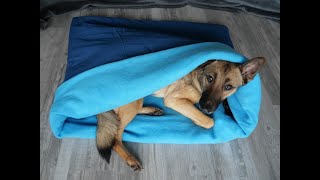 Kuschelsack Schlafsack für den Hund nähen DIY für Anfänger geeignet [upl. by Aralk]