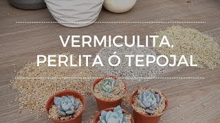 Vermiculita Perlita o Tepojal Para que sirven y como los utilizo [upl. by Mosora]