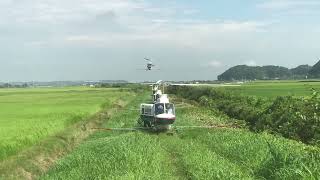 農薬散布ヘリコプター Helicopter SprayingCrop Dusting [upl. by Darryn]